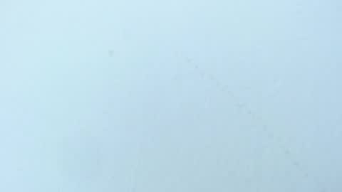 Snapshot of celiani_caleb chatting on 11-03-25, 03:08 celiani_caleb online show from 11-03-25, 03:08