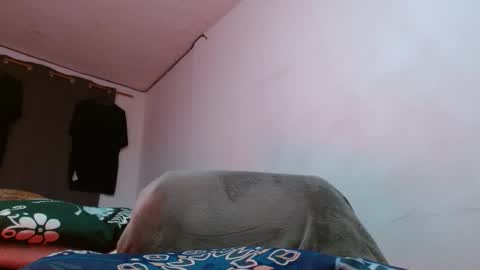 cesar_master_ online show from 04-18-26, 07:58