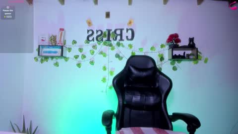 Snapshot of cfiscm chatting on 02-13-26, 10:39 NAMOR online show from 02-13-26, 10:39