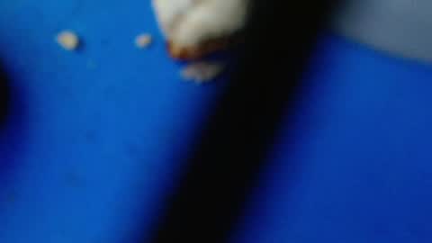 Snapshot of cguffey2284 chatting on 03-07-25, 04:24 cguffey2284 online show from 03-07-25, 04:24