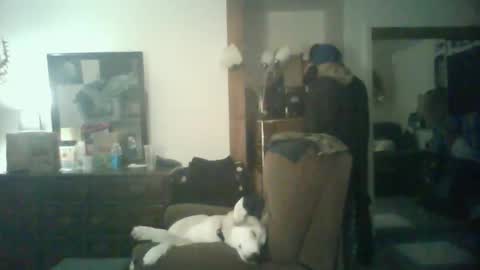 GigaChad online show from 10-29-25, 05:42