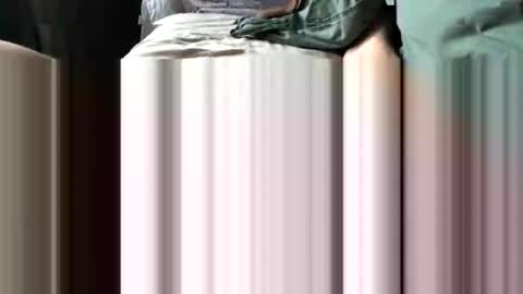 challe online show from 12-03-25, 09:51