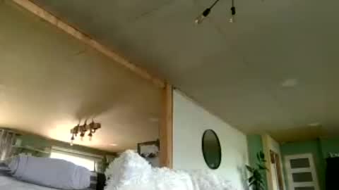 I am Charlie online show from 08-06-26, 03:03