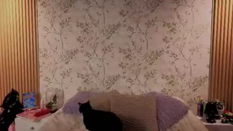 You honey online show from 07-14-26, 12:00