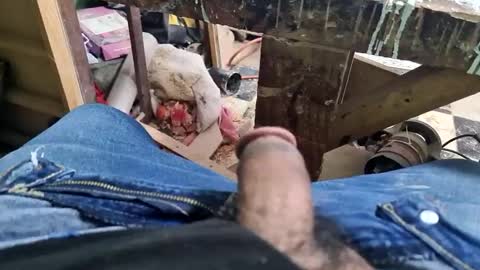 Snapshot of charly2289 chatting on 09-09-25, 01:32 Parcero online show from 09-09-25, 01:32