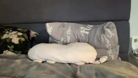 Vicky online show from 09-19-25, 07:36