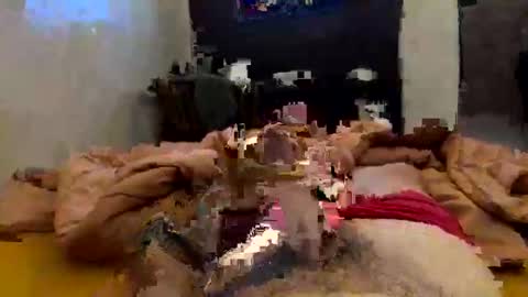 chasejase20333 online show from 02-02-26, 02:10