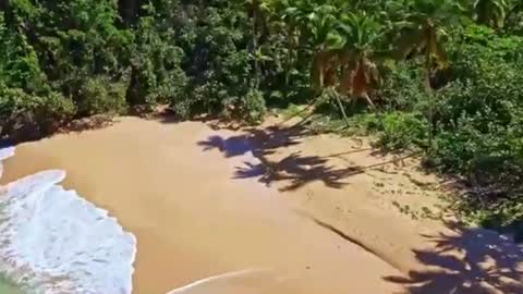 Sam online show from 12-17-24, 04:21