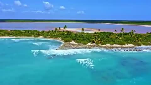 Sam online show from 12-19-24, 06:56