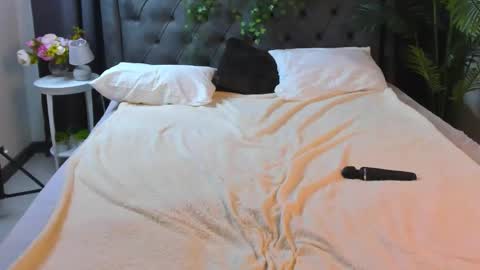 Snapshot of cheezy_cream chatting on 12-04-25, 04:44 cheezy_cream online show from 12-04-25, 04:44