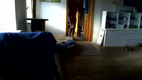 chefben666 online show from 02-14-26, 11:29