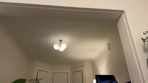 chellybear101 online show from 01-11-25, 04:06