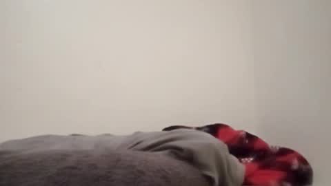 ChemicalX  online show from 02-04-26, 11:31