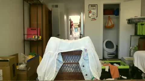 cherryrhett online show from 06-29-26, 12:06