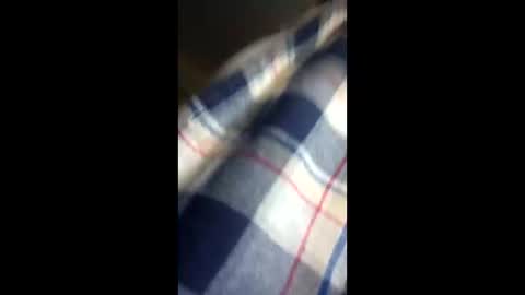 Snapshot of chi579822 chatting on 03-14-26, 04:29 chi579822 online show from 03-14-26, 04:29