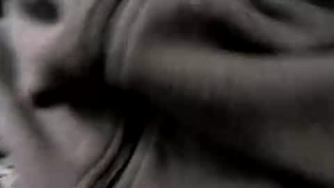 chicagosuburbs7 online show from 01-16-26, 05:17