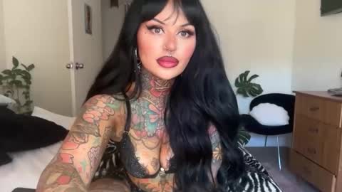 Chickhabit66 online show from 03-12-26, 12:06