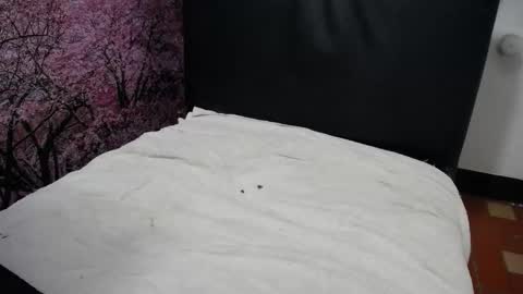 Chikys   online show from 12-15-25, 03:27