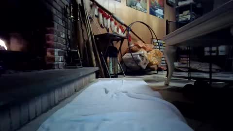 Snapshot of chippy70 chatting on 01-18-26, 07:45 chippy70 online show from 01-18-26, 07:45