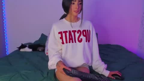  3 online show from 06-13-26, 02:20
