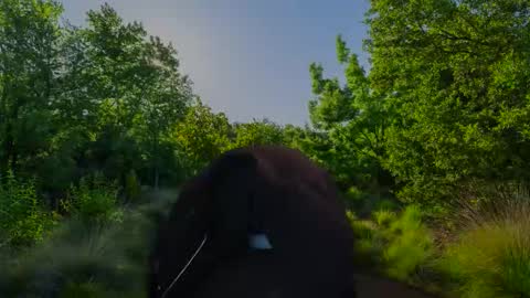 Christian online show from 11-10-25, 07:51