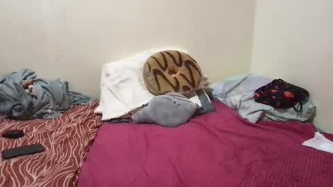 Snapshot of chris_jake1 chatting on 03-14-26, 11:04 chris_jake1 online show from 03-14-26, 11:04