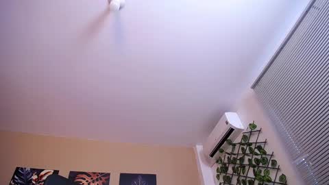 Christopher Black online show from 12-17-25, 01:06