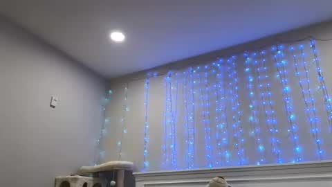 Snapshot of christy_love chatting on 12-29-24, 01:24 Christy Love online show from 12-29-24, 01:24