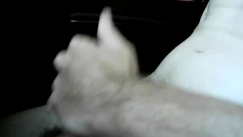 chronicallyhard247 online show from 07-14-26, 03:51
