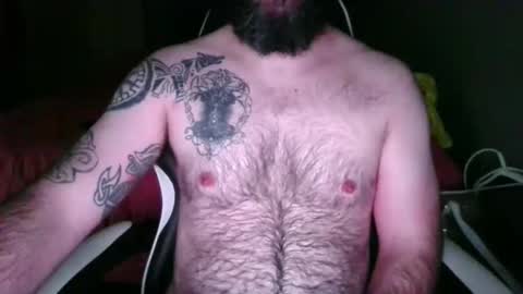 chub bear 99 online show from 05-26-26, 10:44