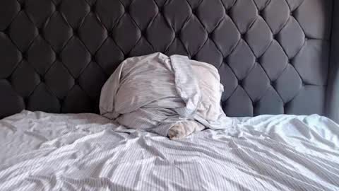 Snapshot of chubbydays chatting on 04-03-26, 07:34 chubbydays online show from 04-03-26, 07:34