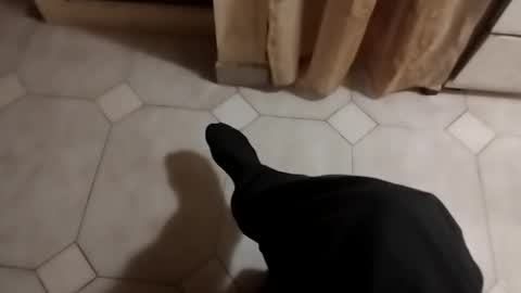 ciccilli online show from 10-17-25, 09:39