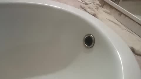 ciccilli online show from 11-09-25, 10:08