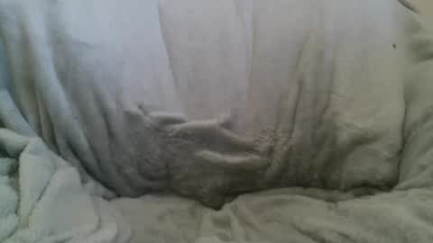 Snapshot of circumsizedbandit chatting on 02-10-25, 11:34 circumsizedbandit online show from 02-10-25, 11:34