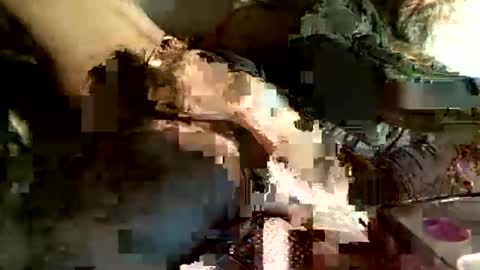 Snapshot of cityman2023 chatting on 03-05-25, 04:13 dan online show from 03-05-25, 04:13