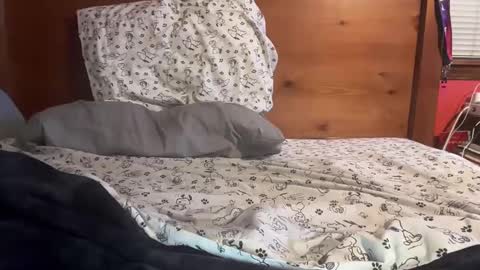 cjallday1424 online show from 03-03-25, 03:41