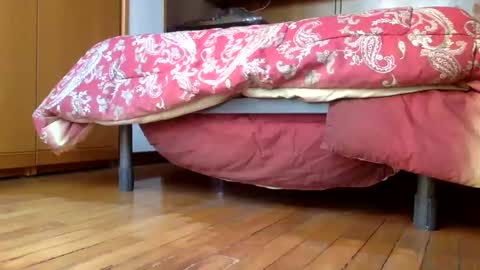 claudi779 online show from 12-29-24, 03:24