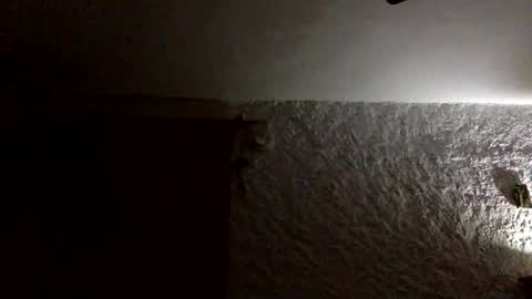 claudi779 online show from 01-11-26, 08:03