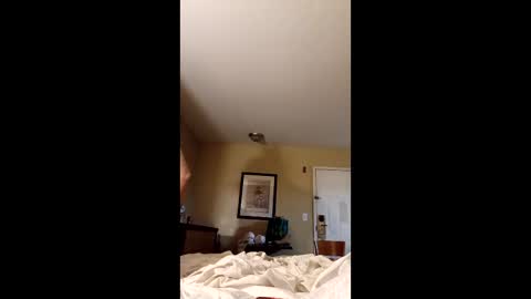 claytonbrannon3717547 online show from 12-17-25, 11:05