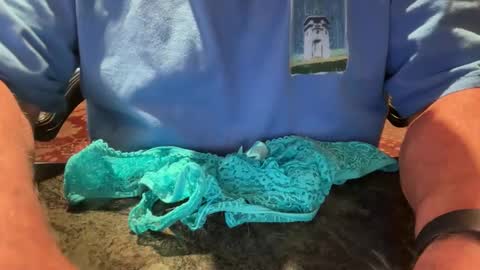 Cock 4u 247 online show from 04-17-26, 08:34