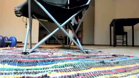 Snapshot of cocknholestar chatting on 01-03-25, 04:22 Gorgeous online show from 01-03-25, 04:22