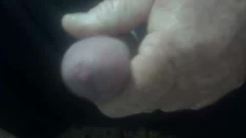 cocktoys online show from 02-01-26, 04:11