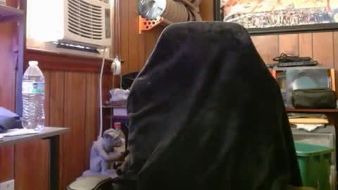 Nelson or ComicKing and sometime Peachy143 online show from 05-04-26, 10:28