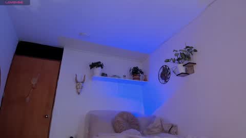 connie    online show from 01-20-25, 01:53