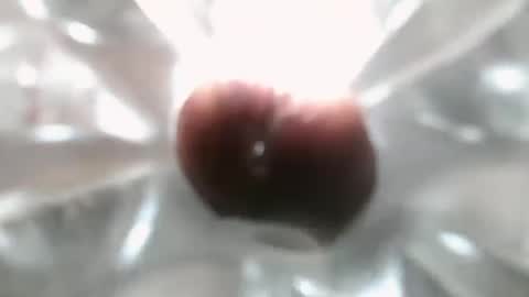 bearded hairy pits big brown cock online show from 12-07-24, 10:17