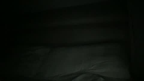 Snapshot of cor01 chatting on 02-22-25, 01:55 cor01 online show from 02-22-25, 01:55