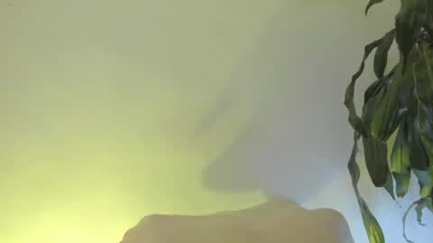 Snapshot of coral_princex chatting on 02-20-26, 06:26 Coral princex online show from 02-20-26, 06:26