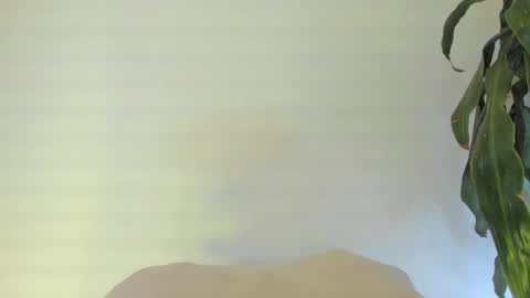 Snapshot of coral_princex chatting on 02-24-26, 06:11 Coral princex online show from 02-24-26, 06:11