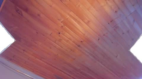 Coraline online show from 01-25-25, 12:27