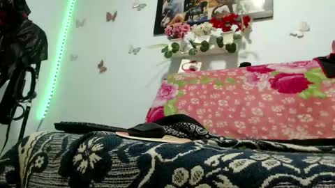 sofiabigcock69 online show from 03-09-26, 08:07